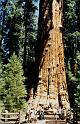 O002 N.P. Sequoia and Kings Canyon